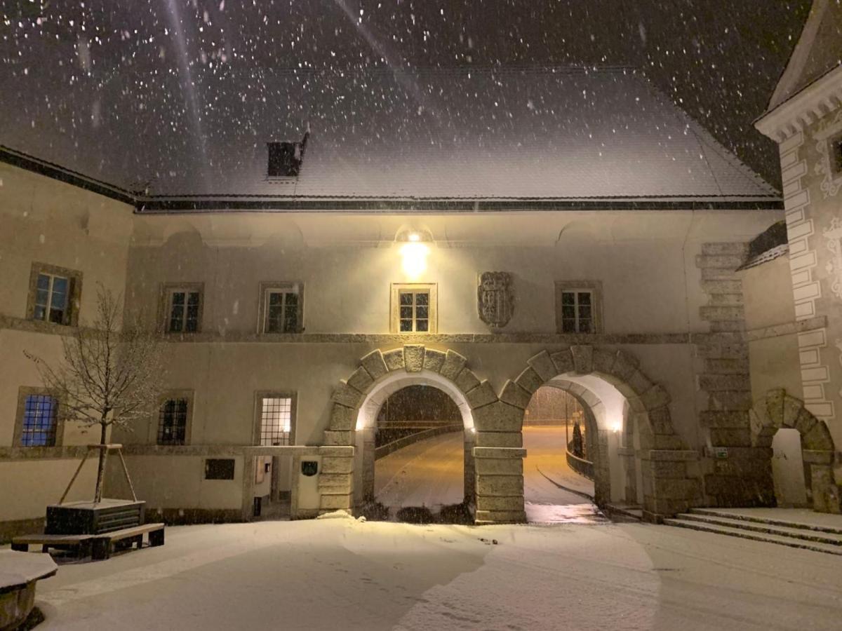 Lovely Flat In A Lovely City Steyr Bagian luar foto