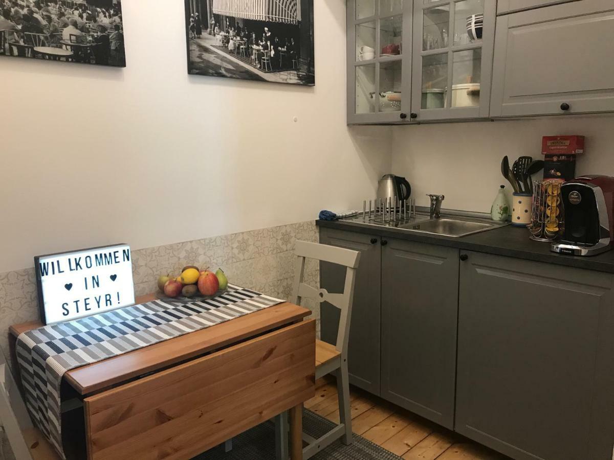 Lovely Flat In A Lovely City Steyr Bagian luar foto